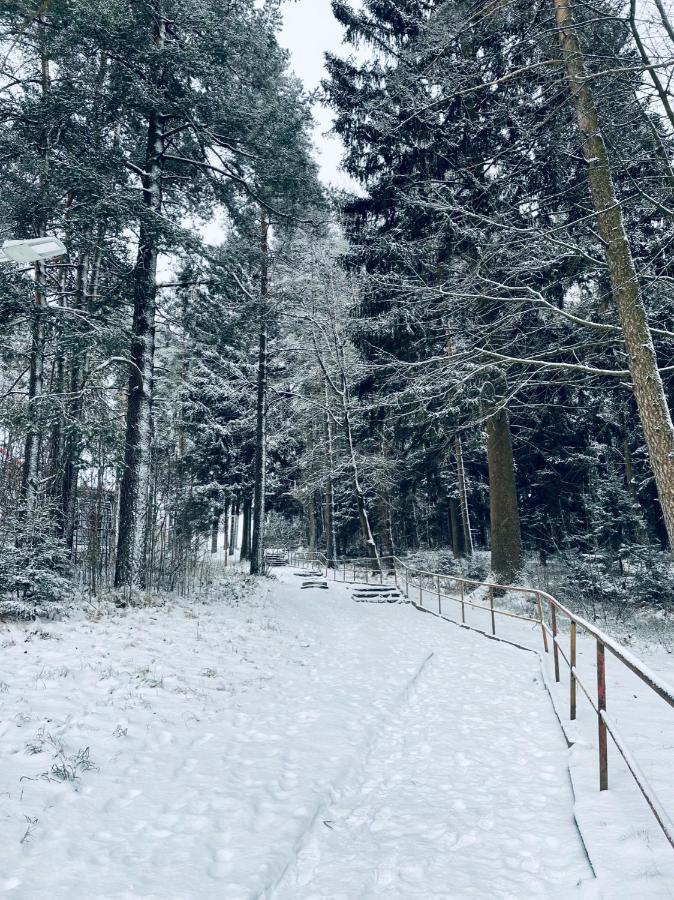 Apartman Galerie - Lipno Nad Vltavou Buitenkant foto